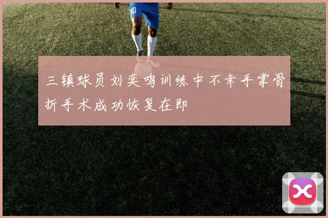 三镇球员刘奕鸣训练中不幸手掌骨折手术成功恢复在即