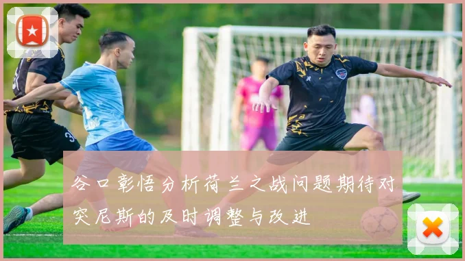 谷口彰悟分析荷兰之战问题期待对突尼斯的及时调整与改进