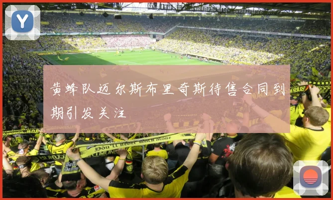 黄蜂队迈尔斯布里奇斯待售合同到期引发关注